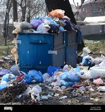 Best Yard Waste Removal  in Sibley, IA