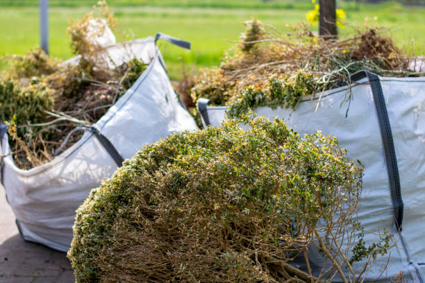 Best Construction Debris Removal  in Sibley, IA